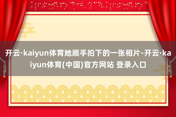 开云·kaiyun体育她顺手拍下的一张相片-开云·kaiyun体育(中国)官方网站 登录入口