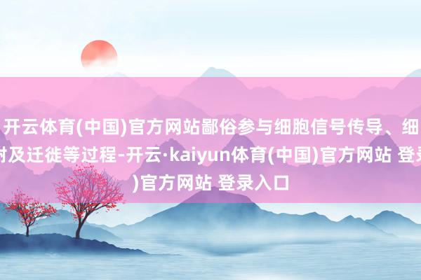 开云体育(中国)官方网站鄙俗参与细胞信号传导、细胞黏附及迁徙等过程-开云·kaiyun体育(中国)官方网站 登录入口